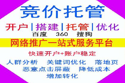 百度SEO推广案例：实战解析与优化建议